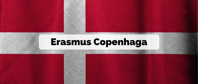 Blog estudantes erasmus copenhaga